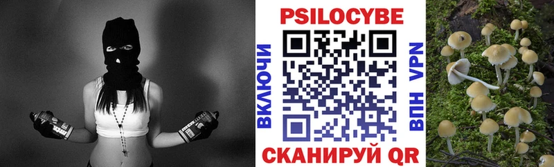 Галлюциногенные грибы ЛСД Белово