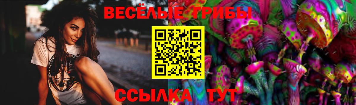 Псилоцибиновые грибы Psilocybine cubensis Белово