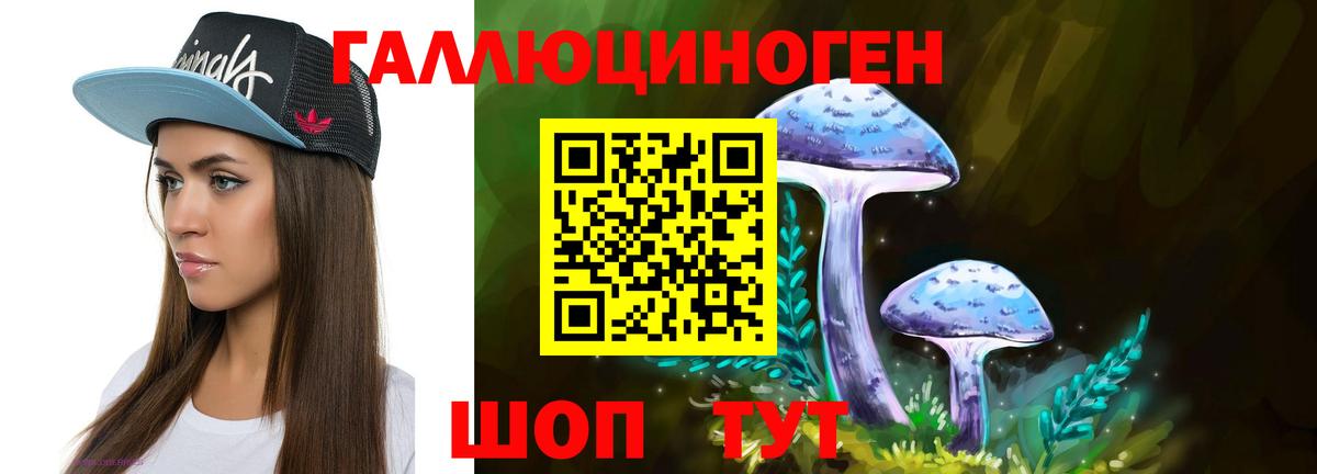 Галлюциногенные грибы Psilocybe  Белово 